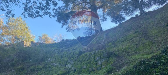 Grundstück in Castiglione di Sicilia, Italy 28965m², Nr. 66448 23