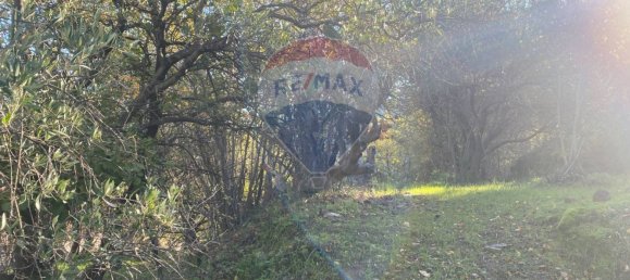 Grundstück in Castiglione di Sicilia, Italy 28965m², Nr. 66448 45