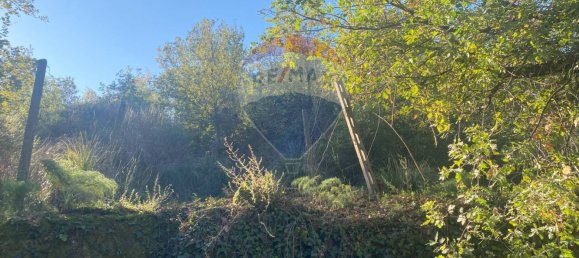 Grundstück in Castiglione di Sicilia, Italy 28965m², Nr. 66448 40