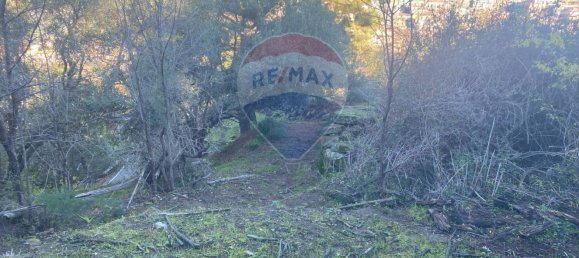 Grundstück in Castiglione di Sicilia, Italy 28965m², Nr. 66448 38