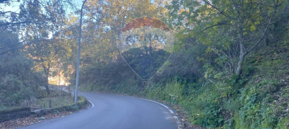 Grundstück in Castiglione di Sicilia, Italy 28965m², Nr. 66448 19