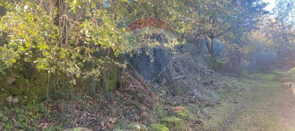 Grundstück in Castiglione di Sicilia, Italy 28965m², Nr. 66448 39