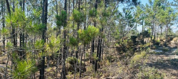 320m² Land in Alcacer do Sal, Portugal No. 145261 2