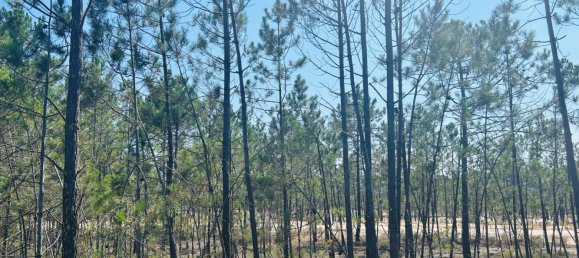 320m² Land in Alcacer do Sal, Portugal No. 145261 5