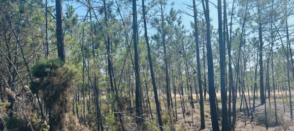 320m² Land in Alcacer do Sal, Portugal No. 145261 3