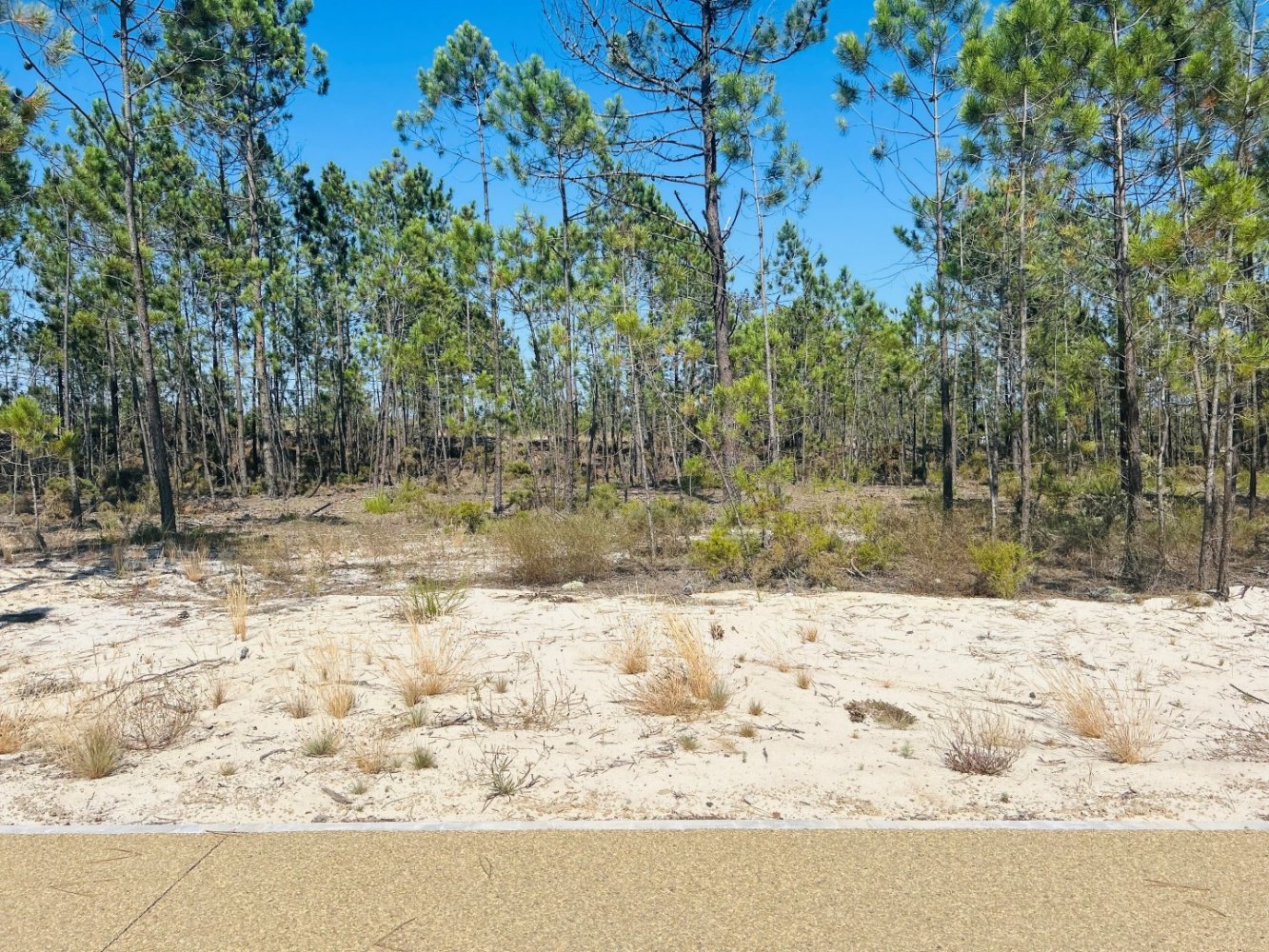 320m² Land in Alcacer do Sal, Portugal No. 145261
