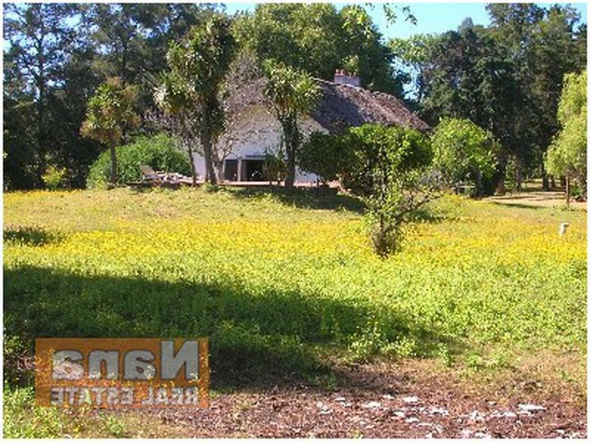 Ferme à Maldonado, Uruguay No. 15659