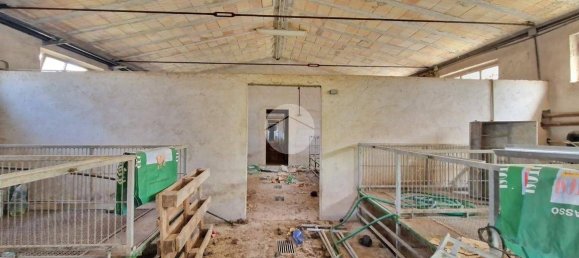 قطعة أرض في Fagnano Alto, Italy 800متر مربع رقم 43144 7