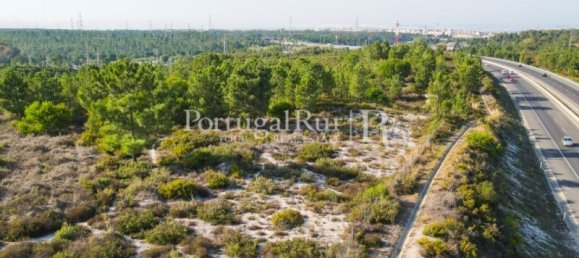 13800m² Land in Seixal, Portugal No. 134643 3