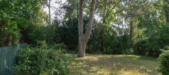  Land in Potsdam-Mittelmark, Germany No. 340727 7