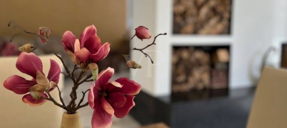 6 bedrooms Villa in Hochtaunuskreis, Germany No. 292638 11