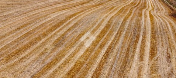 174791m² Land in Tarquinia, Italy No. 297417 6