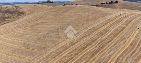 174791m² Land in Tarquinia, Italy No. 297417 7