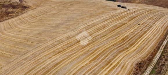 174791m² Land in Tarquinia, Italy No. 297417 5