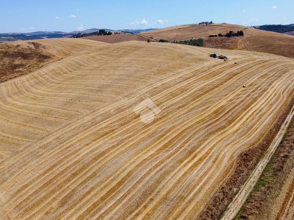174791m² Land in Tarquinia, Italy No. 297417