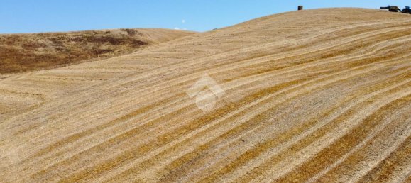 174791m² Land in Tarquinia, Italy No. 297417 2