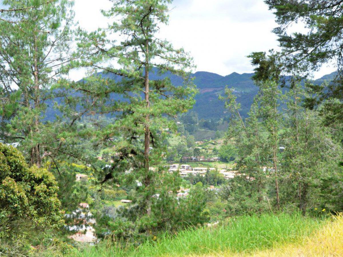  قطعة أرض في Antioquia, Colombia رقم 136