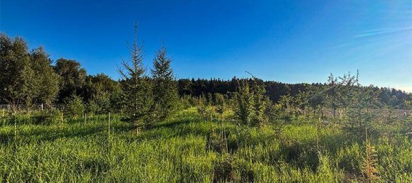 Terrain à Wels, Austria 39772m² No. 237540 7