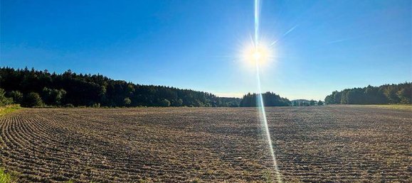 Terrain à Wels, Austria 39772m² No. 237540 5