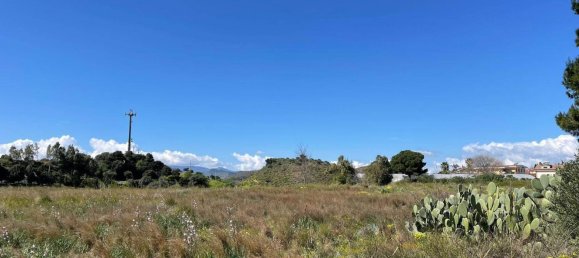 3300m² Land in Catanzaro, Italy No. 15373 4