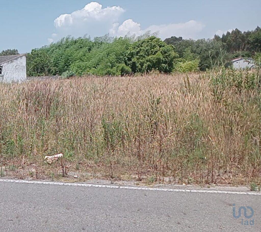 1380m² Land in Palhaca, Portugal No. 250003