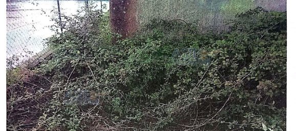  مكتب في Sardinia, Italy 70متر مربع رقم 313266 22