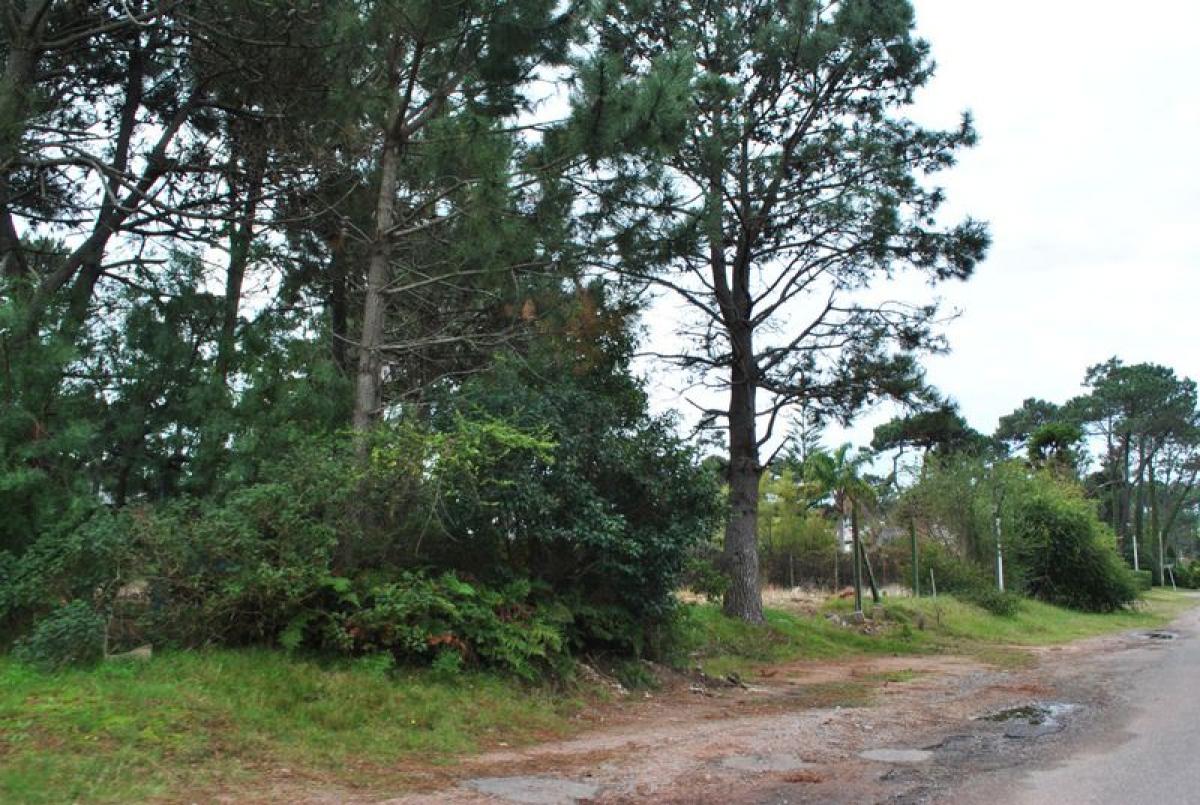 Terreno em Maldonado, Uruguay N.º 14115