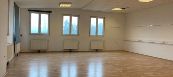 Propiedad comercial en Grieskirchen, Austria 2600 m² No. 71158 5