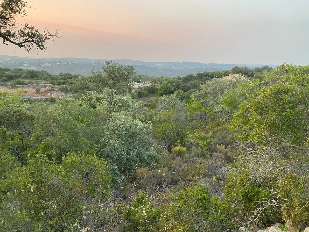 Terreno en Loule, Portugal No. 71854