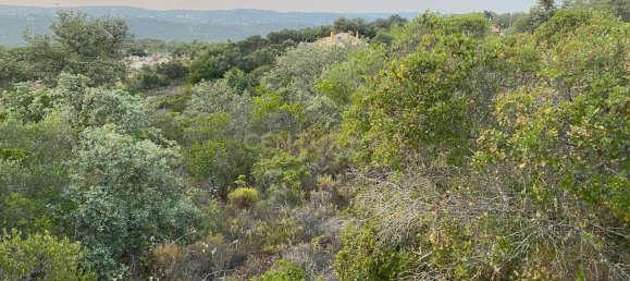 Terreno en Loule, Portugal No. 71854 2