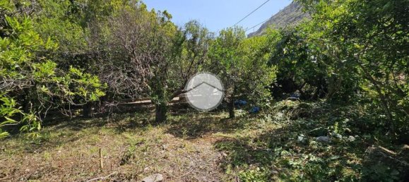 1 chambre Maison à Palermo, Italy No. 272071 21