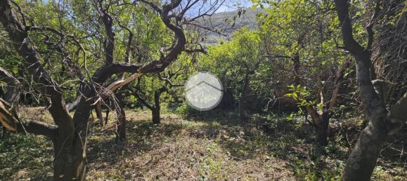 1 chambre Maison à Palermo, Italy No. 272071 8