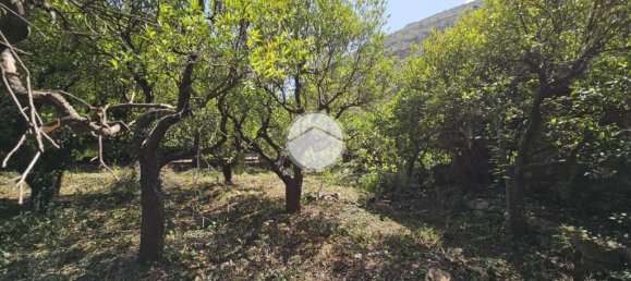 1 chambre Maison à Palermo, Italy No. 272071 16