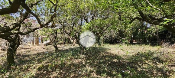 1 chambre Maison à Palermo, Italy No. 272071 11