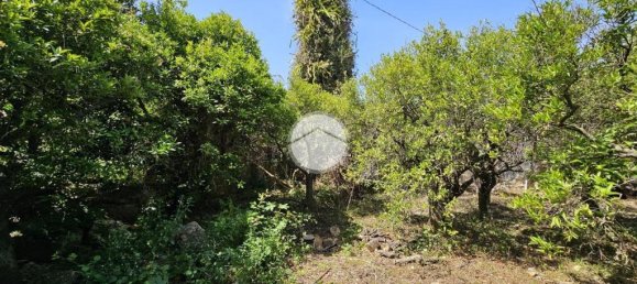 1 chambre Maison à Palermo, Italy No. 272071 12