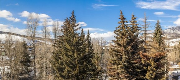 Bungalow de 3 dormitorios en Silverthorne, USA No. 560321 28