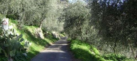 5-salle Maison à Diano San Pietro, Italy No. 146410 16