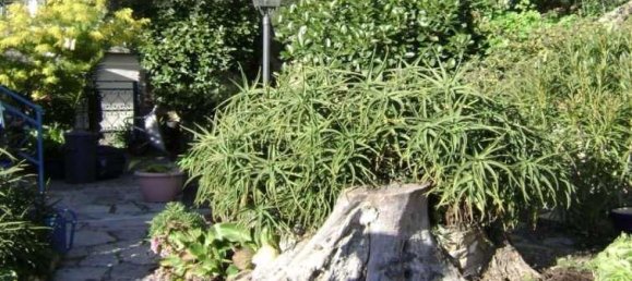 5-salle Maison à Diano San Pietro, Italy No. 146410 3