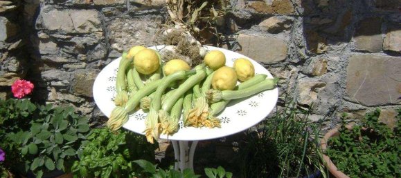 5-salle Maison à Diano San Pietro, Italy No. 146410 18