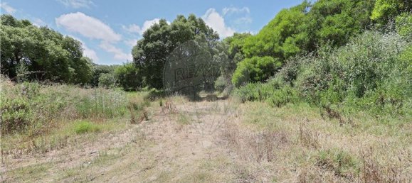 Terrain à Sintra, Portugal 48322m² No. 91638 9