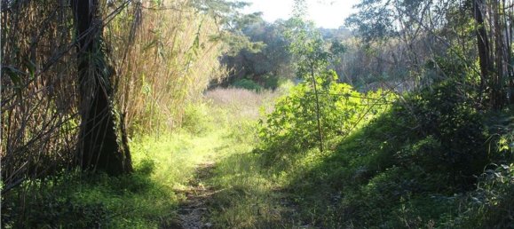 Terrain à Sintra, Portugal 48322m² No. 91638 2