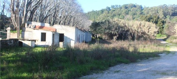 Terrain à Sintra, Portugal 48322m² No. 91638 6