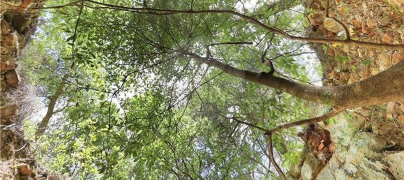 Terrain à Sintra, Portugal 48322m² No. 91638 12