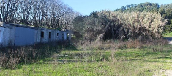 Terrain à Sintra, Portugal 48322m² No. 91638 7