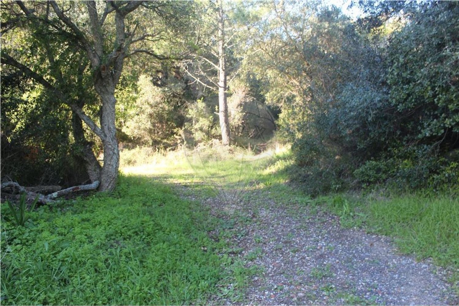 Terrain à Sintra, Portugal 48322m² No. 91638