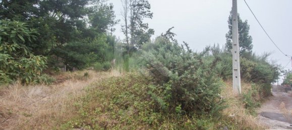 841m² Land in Camacha, Portugal No. 83729 2