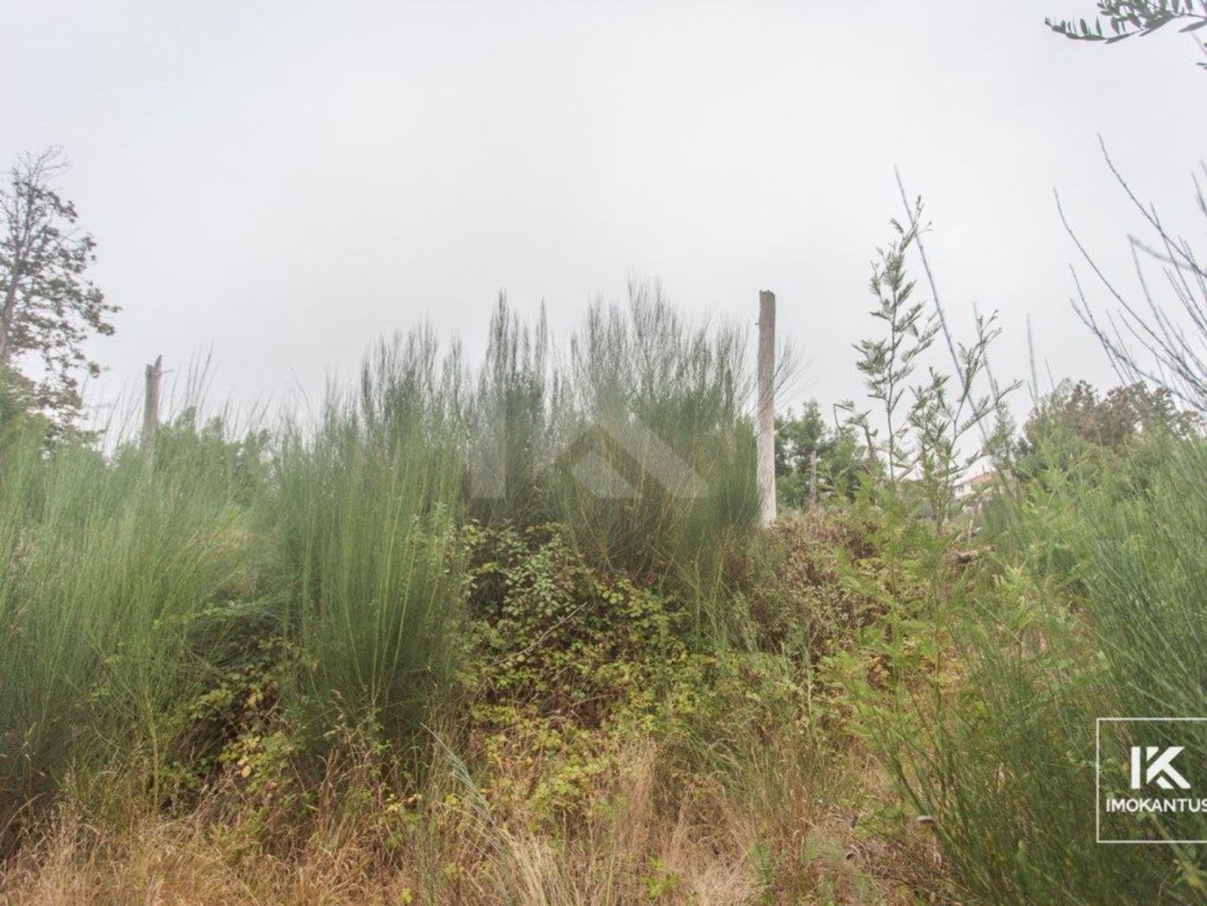 841m² Land in Camacha, Portugal No. 83729