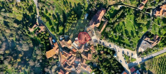 4 غرف نوم منزل في Sao Cristovao de Nogueira, Portugal رقم 183227 3