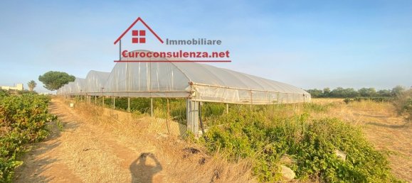 1 Schlafzimmer Lagerhaus in Melissano, Italy, Nr. 328447 20