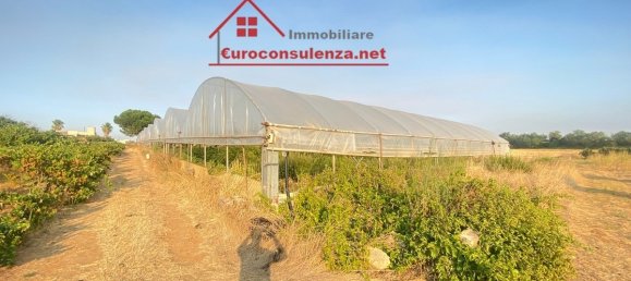 1 Schlafzimmer Lagerhaus in Melissano, Italy, Nr. 328447 21